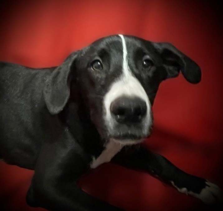 Photo of Billy