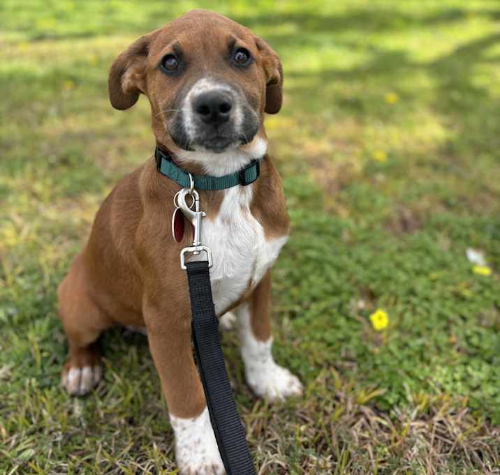 Photo of Floyd