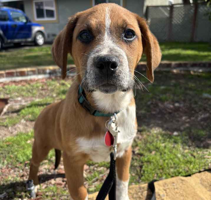 Photo of Oscar