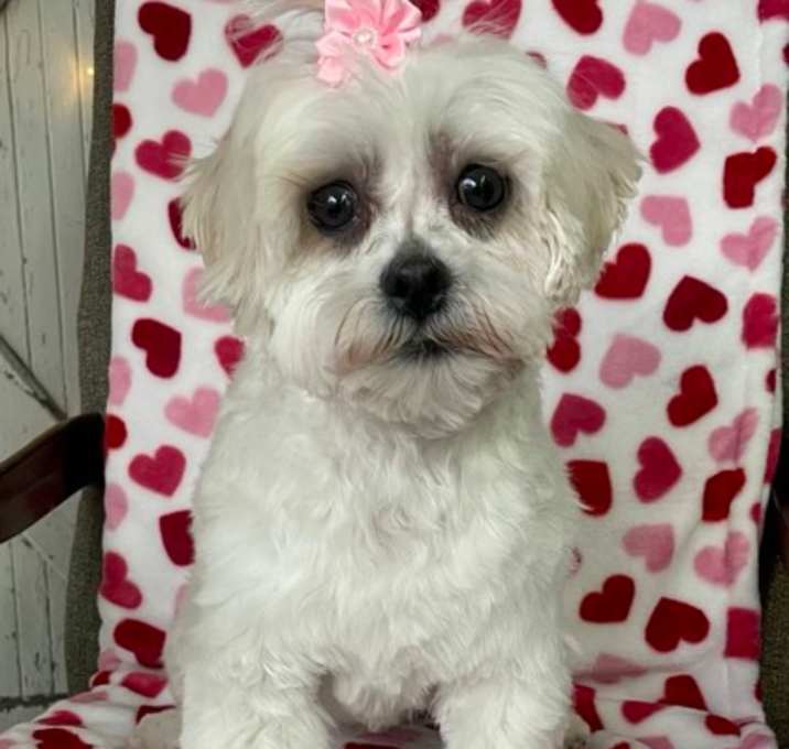 Photo of Kaiya
