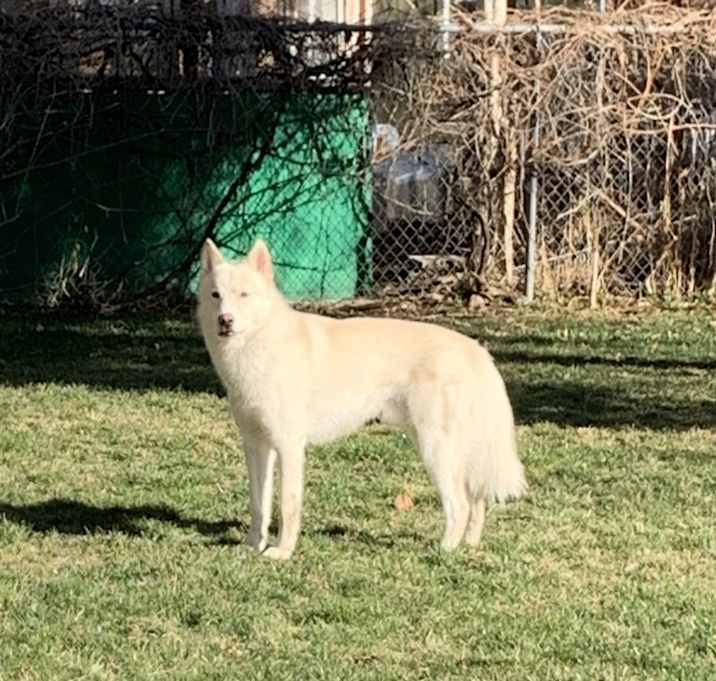 Photo of Akio