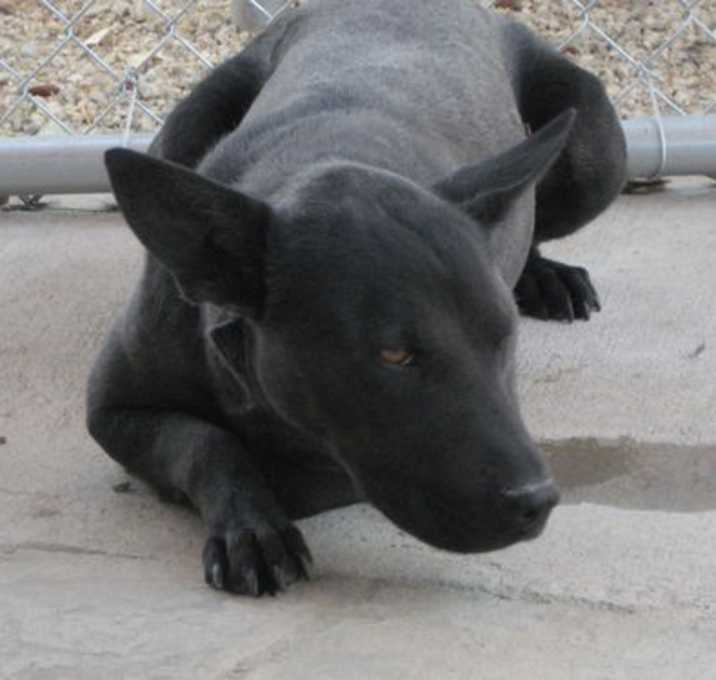 Photo of Nuri