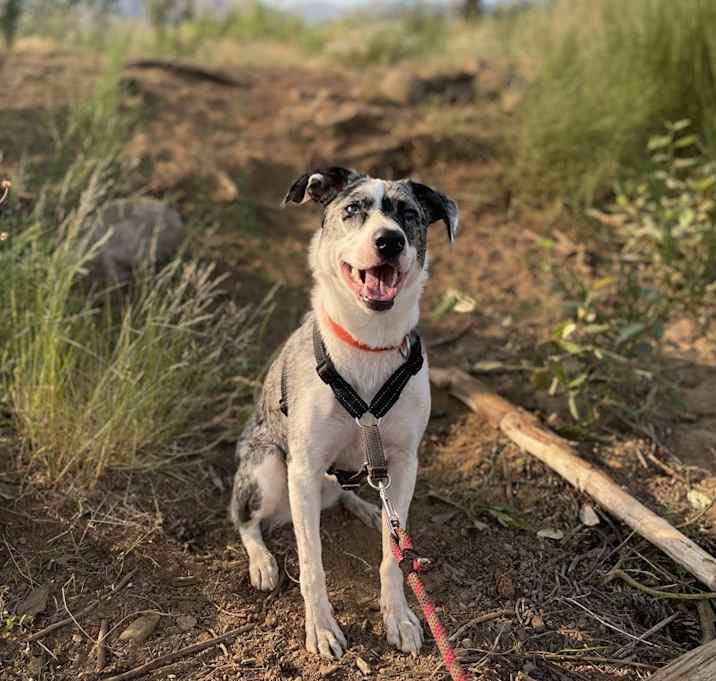 Photo of Oona