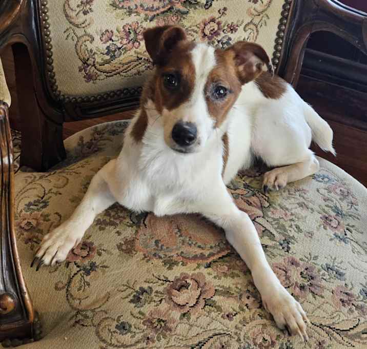 Photo of Mindy