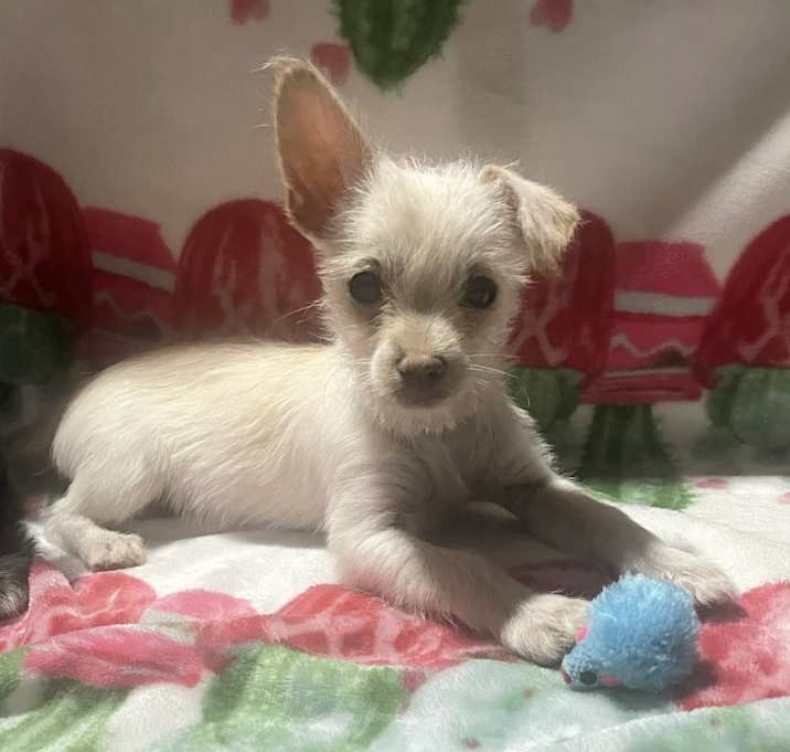 Photo of Zeke