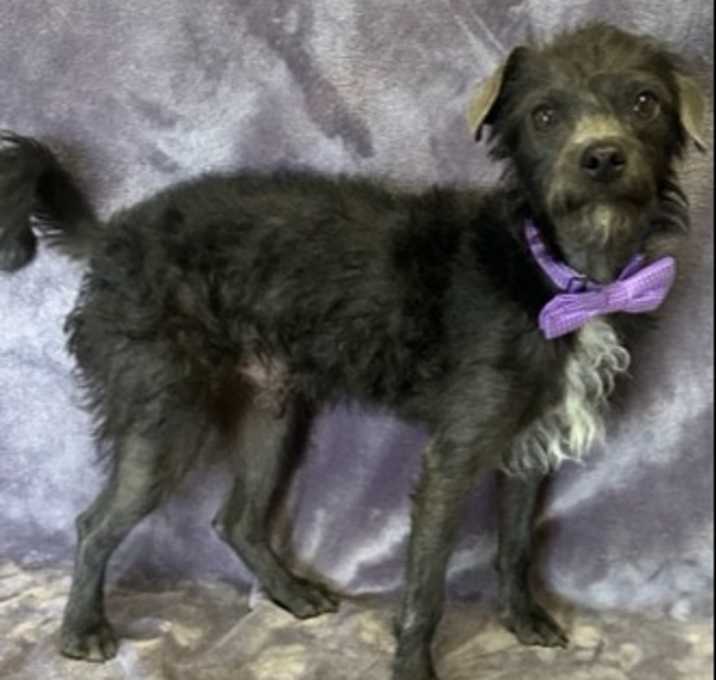 Photo of Fritz
