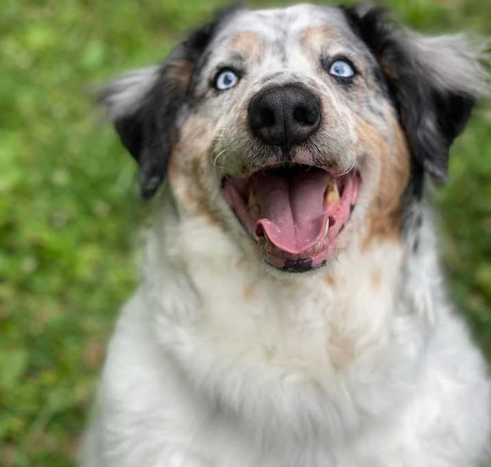 Photo of Gunner