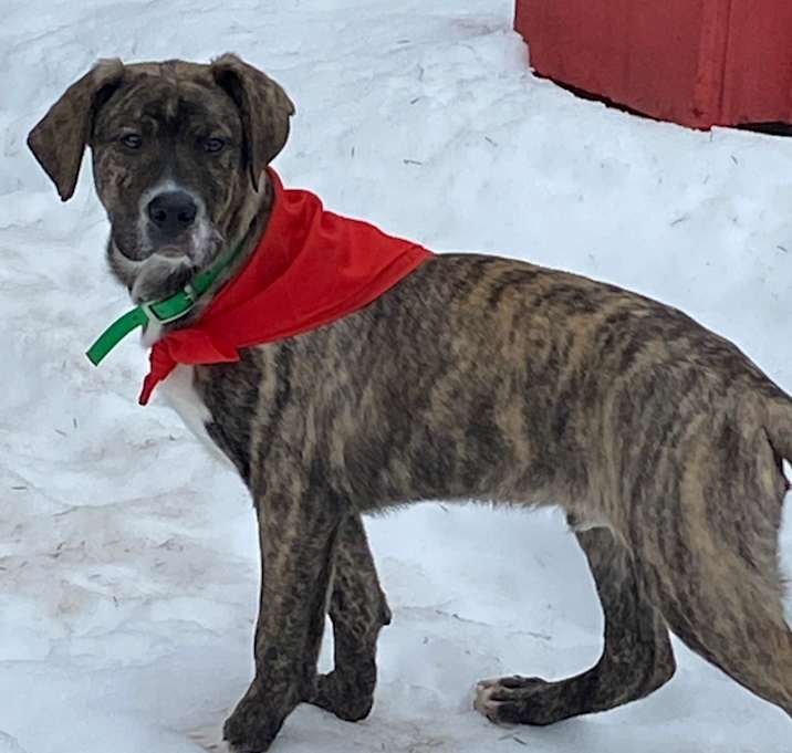 Photo of Remington