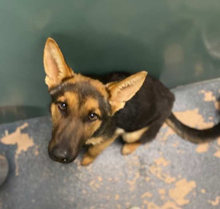 Photo of Mae