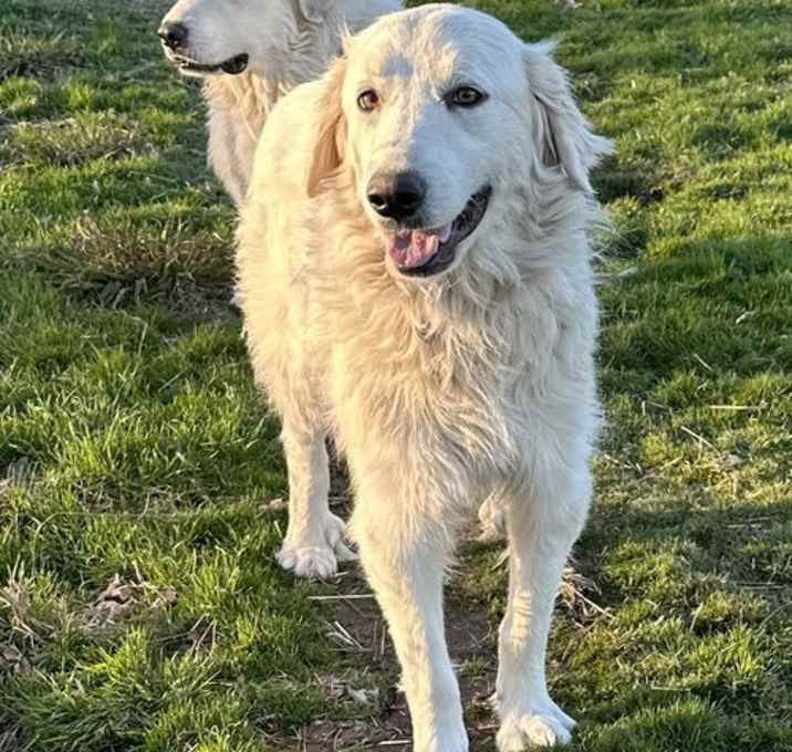 Photo of Sophie