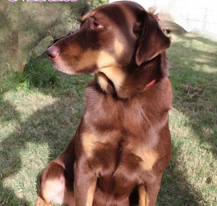 Photo of GILDA