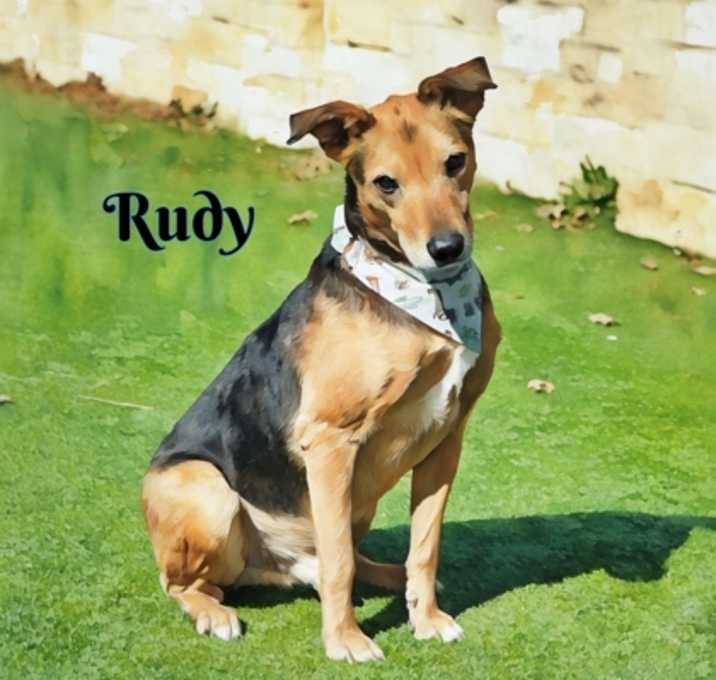 Photo of Rudy