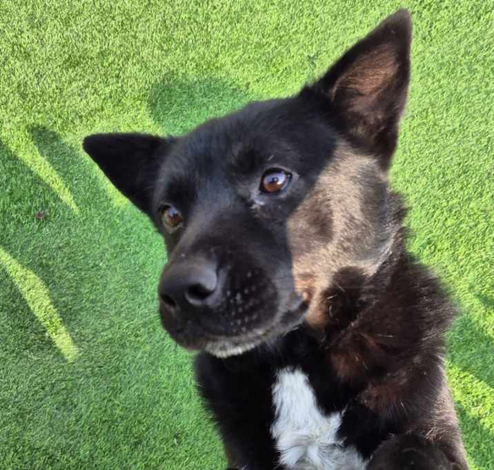 Photo of bolt