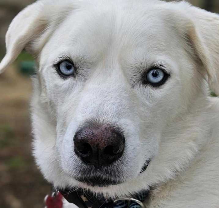 Photo of Gabe