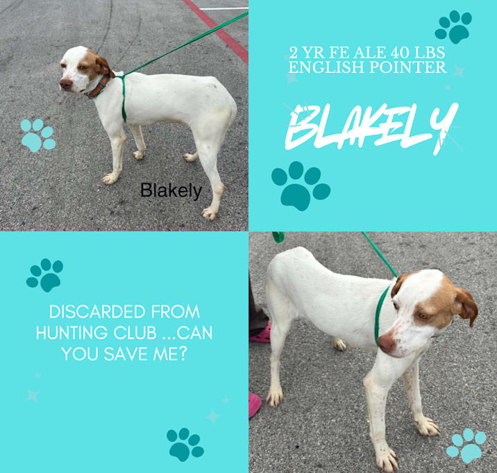 Photo of Blakely