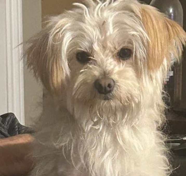 Photo of Sammy