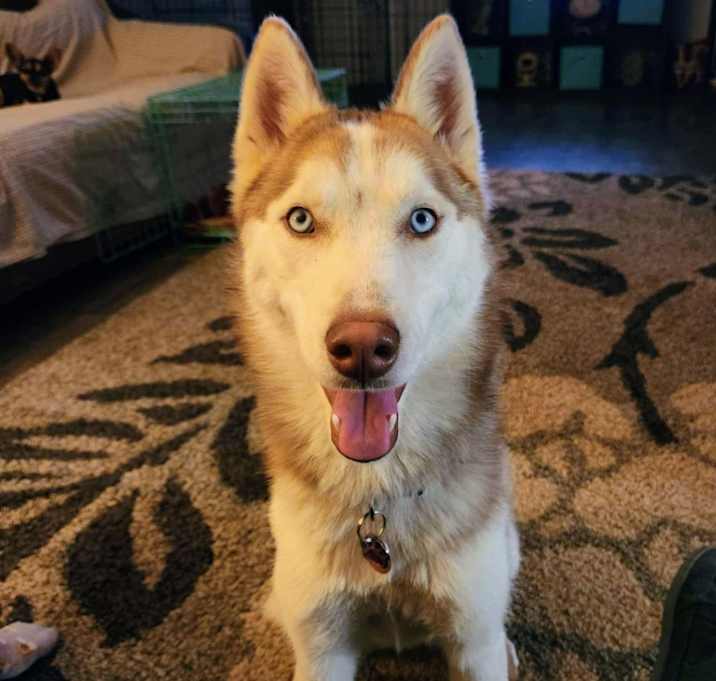 Photo of Freya