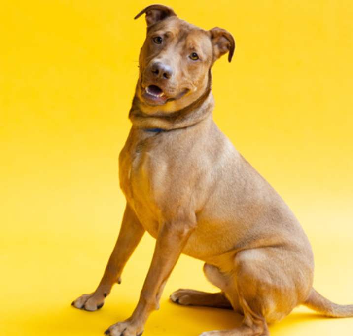 Photo of Allen