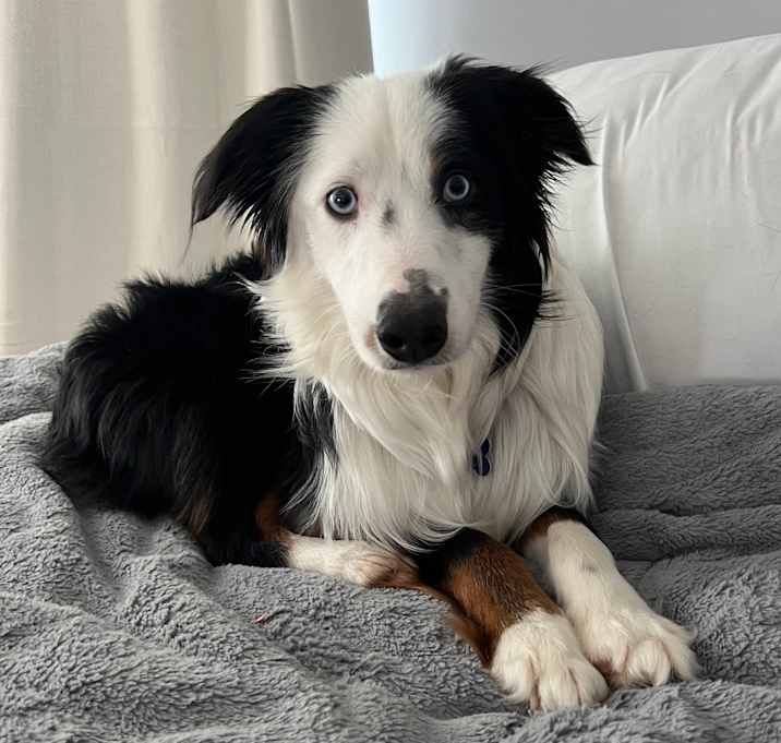 Photo of Java