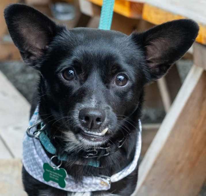 Photo of Bud