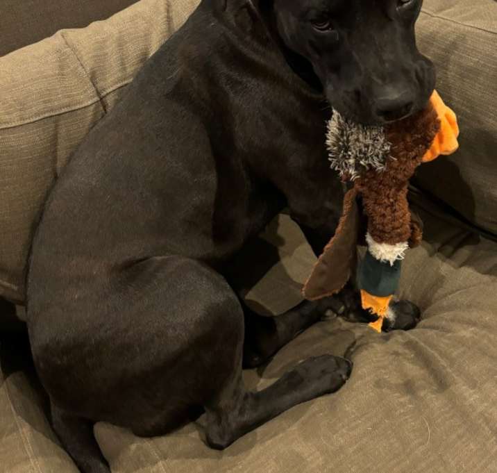 Photo of Leela