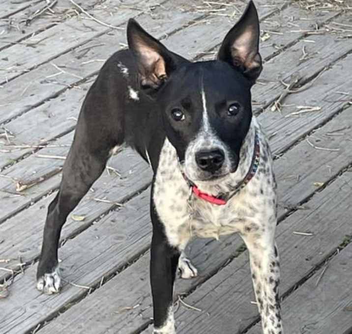 Photo of Kiah