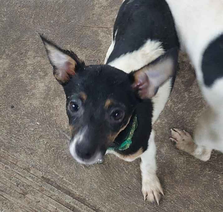 Photo of Alfie