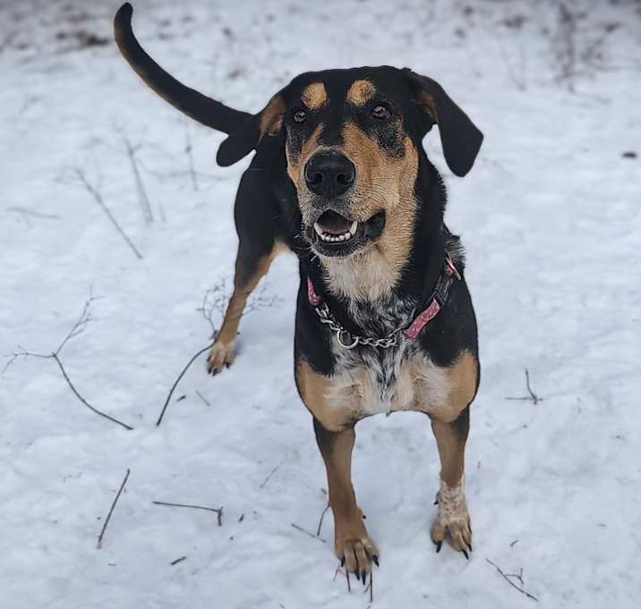 Photo of Sugar
