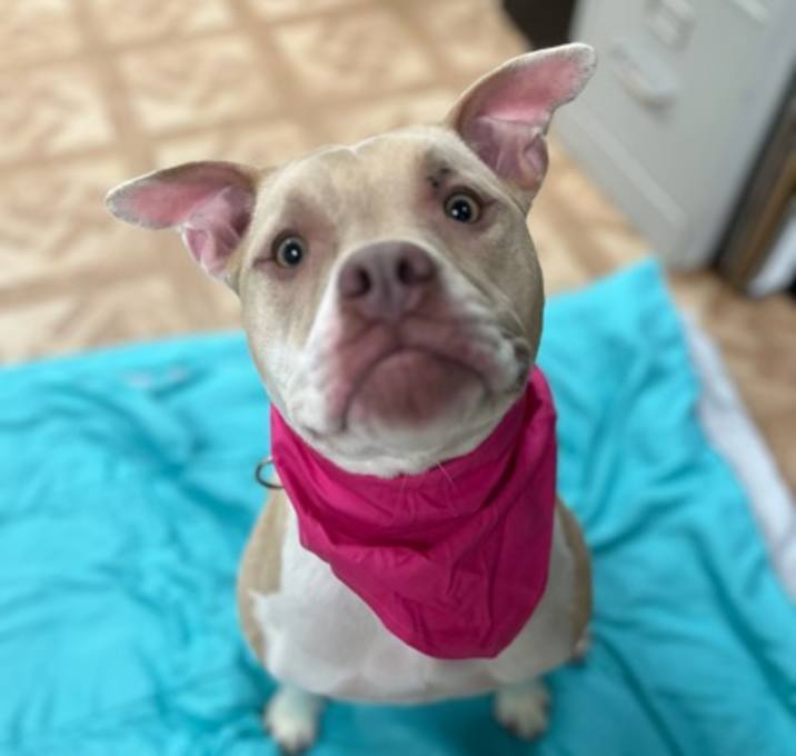 Photo of Ariel