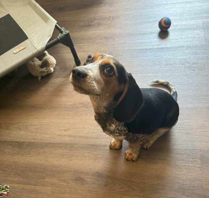 Photo of BELLE