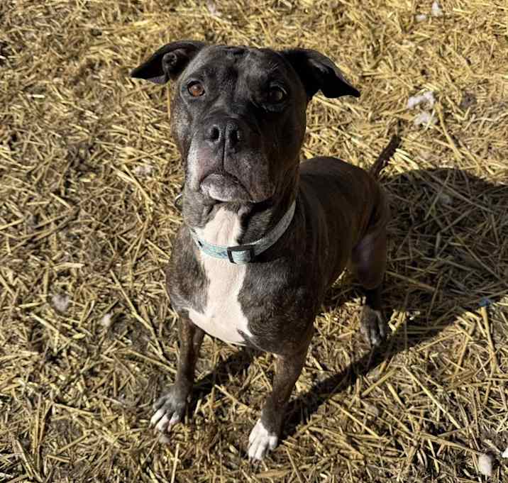 Photo of Lola