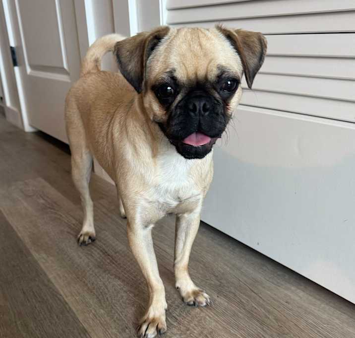 Photo of Freya