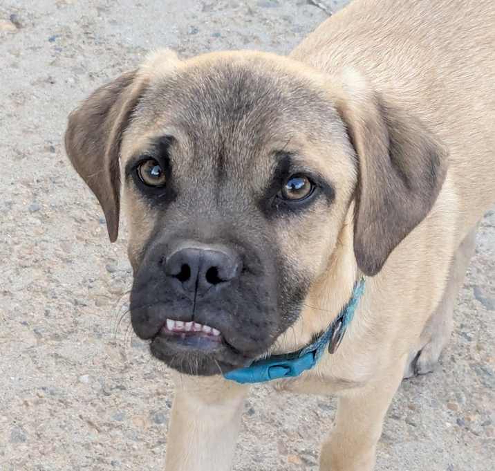 Photo of HOLDEN
