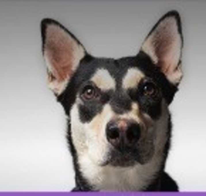 Photo of Lily