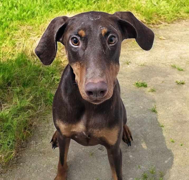 Photo of Beretta