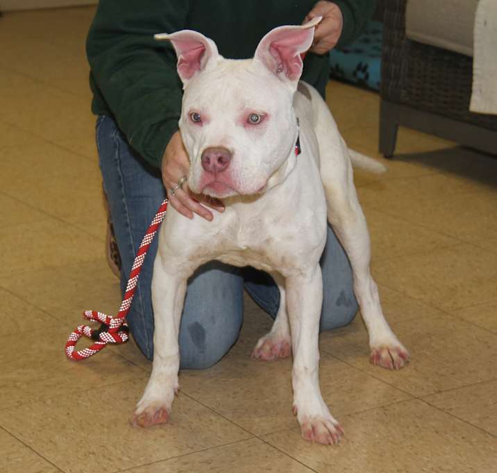 Photo of Pablo (Photos 2/23/2025)