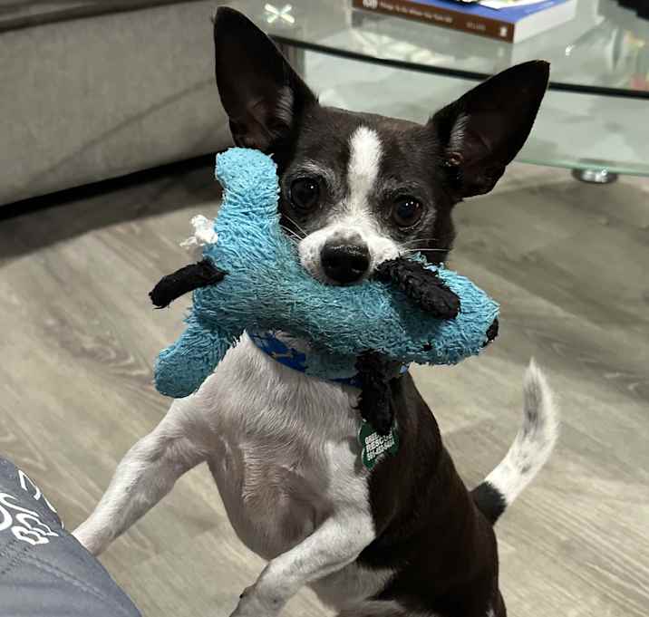 Photo of MILO