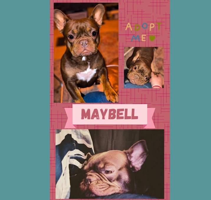 Photo of Maybell