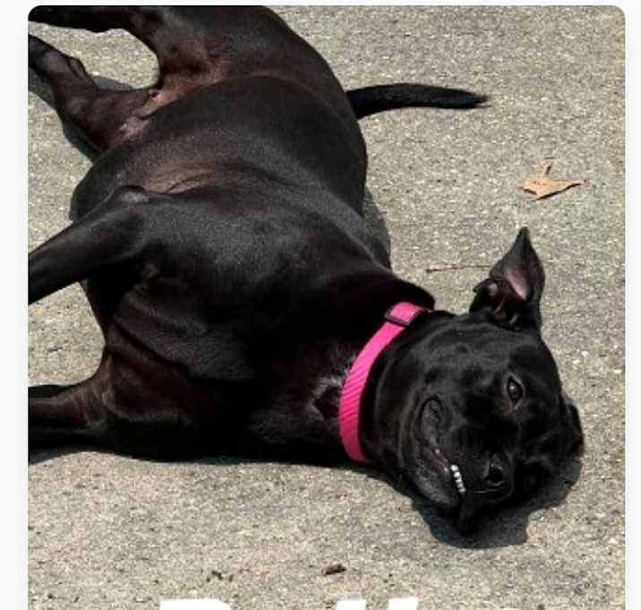 Photo of Betty
