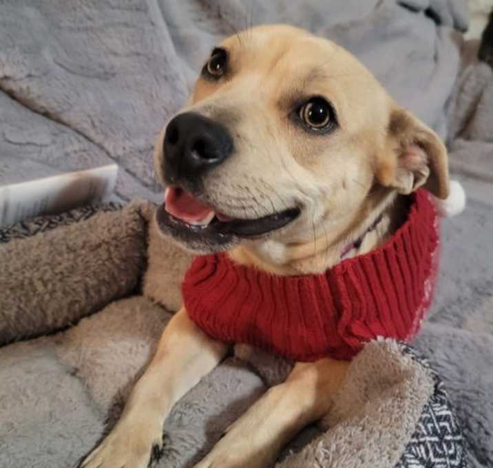 Photo of Fiona