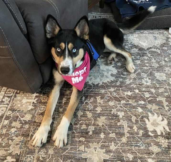 Photo of Daisy Aurora