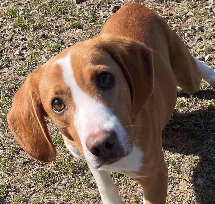Photo of MURPHY/URGENT