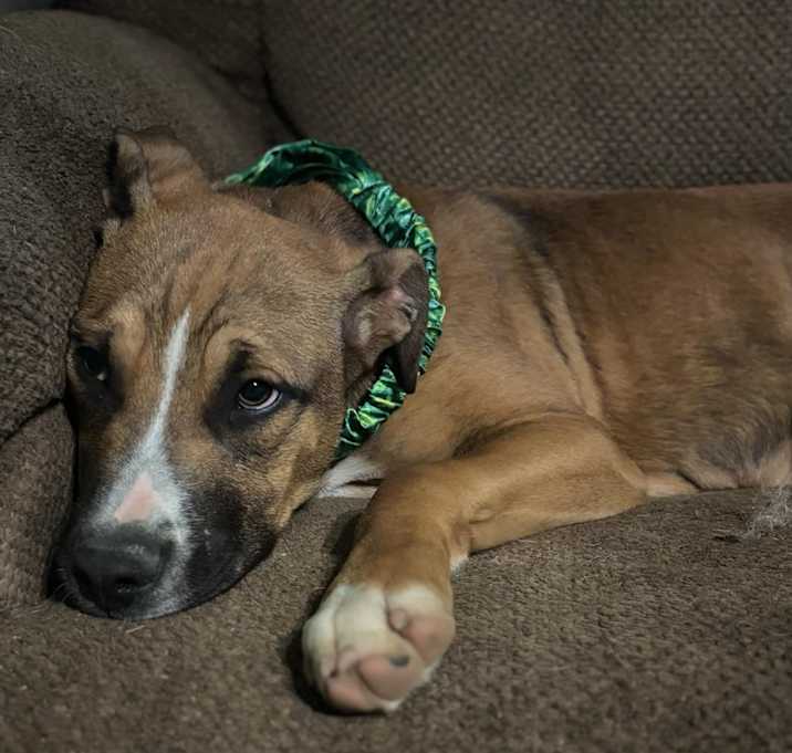 Photo of Maxwell