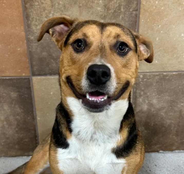 Photo of Tink