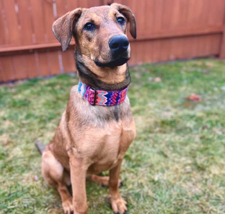 Photo of Aspen