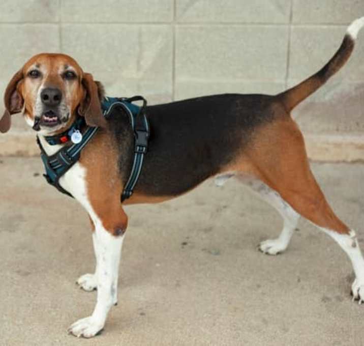 Photo of Jake