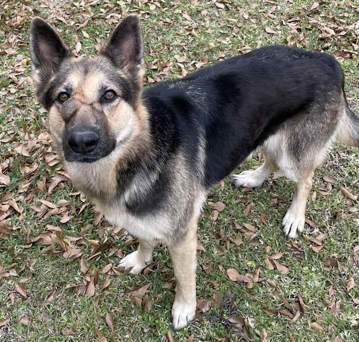 Photo of Dakota