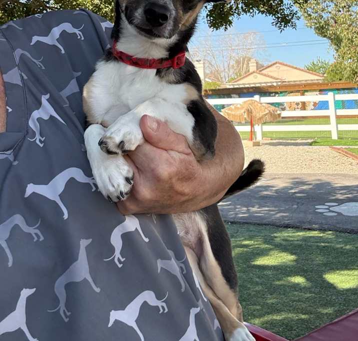 Photo of Miss Dolly