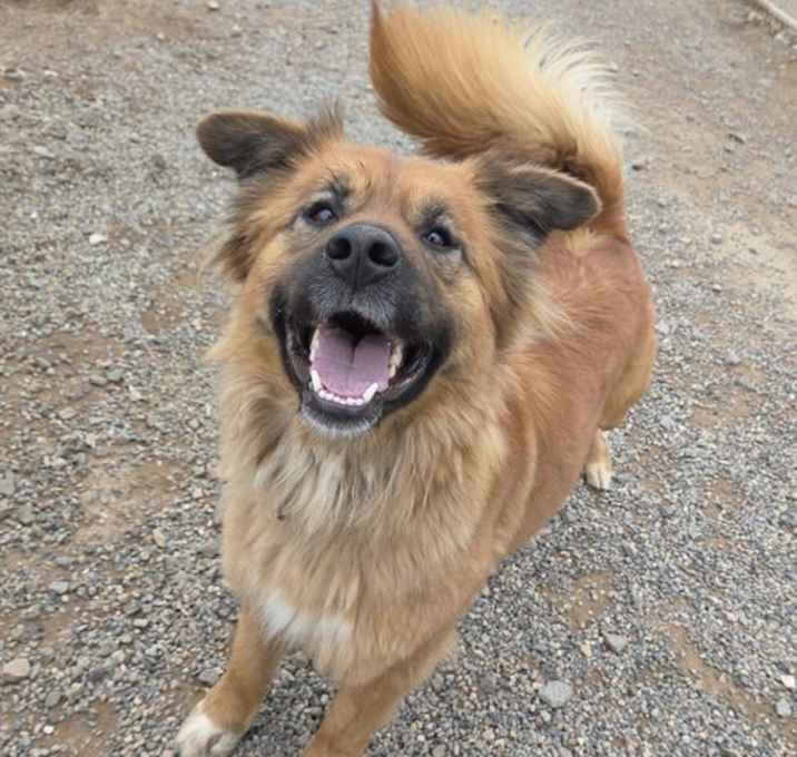Photo of Bonny
