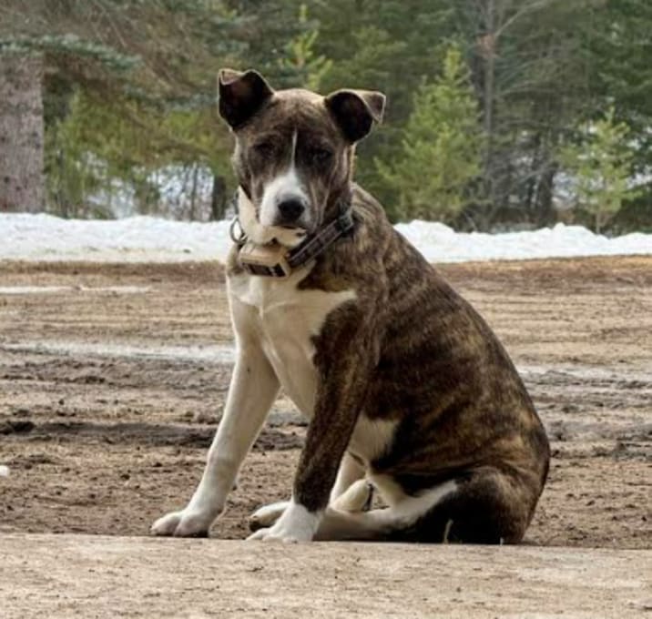 Photo of Tess